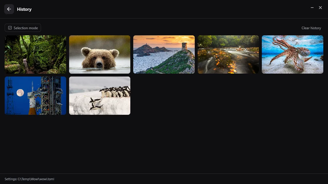 The history in Wowl