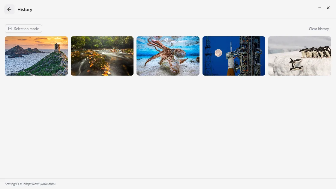 The history in Wowl