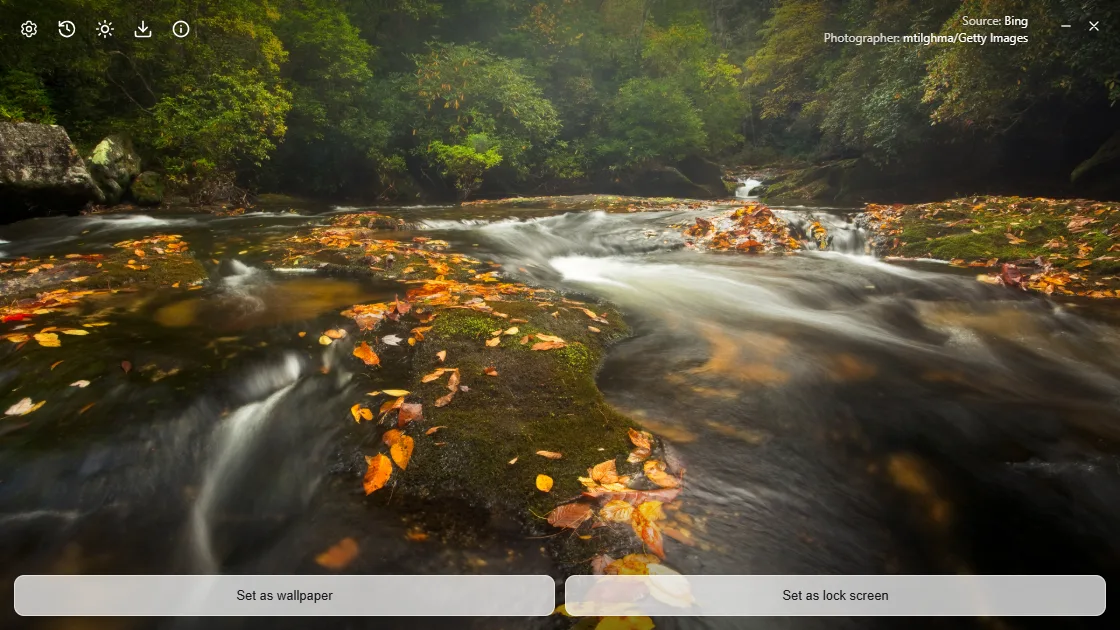 Wowl showing Bing’s picture of the day